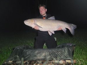 Grass Carp