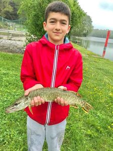 Northern Pike