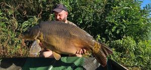 Mirror Carp