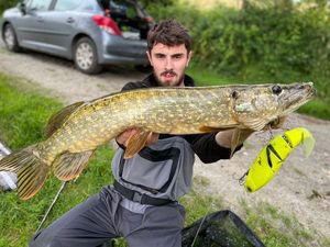 Northern Pike