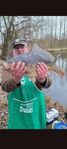 Mirror Carp