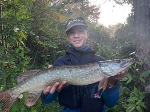 Northern Pike