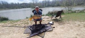 Mirror Carp