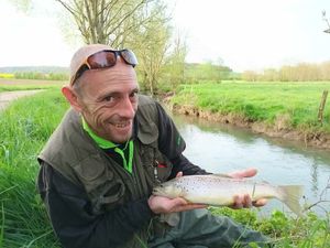Brown Trout