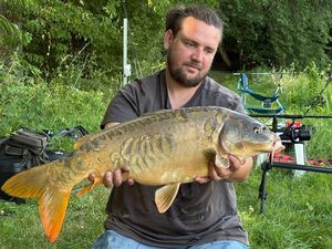 Mirror Carp