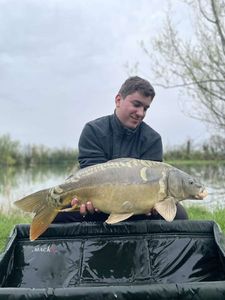 Mirror Carp