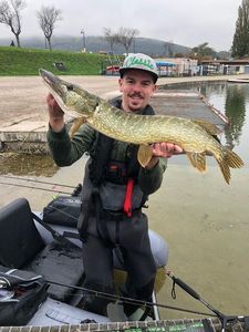Northern Pike
