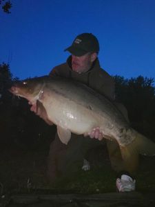 Mirror Carp