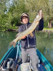 Northern Pike