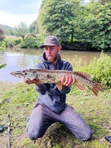 Northern Pike