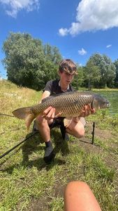 Mirror Carp
