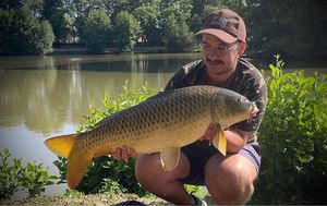 Common Carp