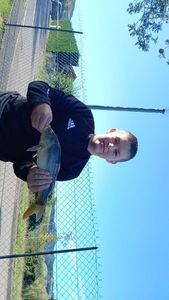 Leather Carp