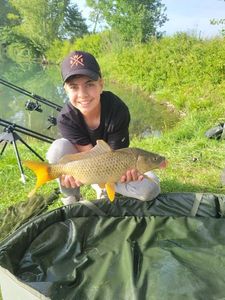 Common Carp