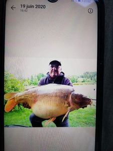 Mirror Carp