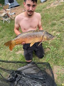 Mirror Carp