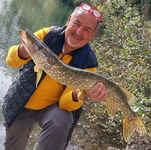 Northern Pike
