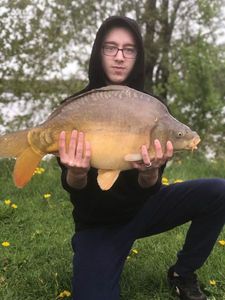 Mirror Carp