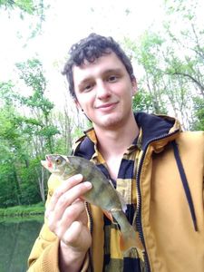European Perch