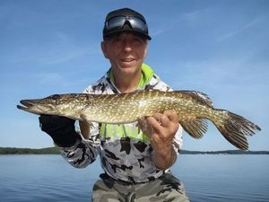Northern Pike