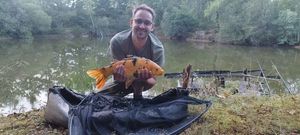 Koï Fish