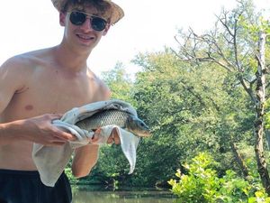 Common Carp