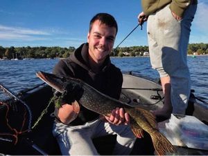 Northern Pike