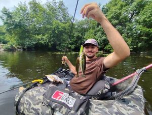 Largemouth Bass