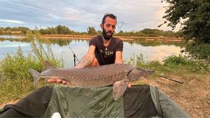 Sturgeon