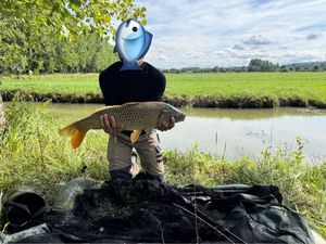 Common Carp