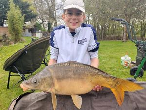 Mirror Carp