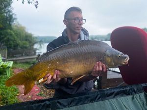 Mirror Carp