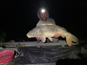 Mirror Carp
