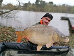 Mirror Carp