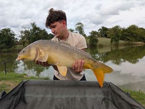 Mirror Carp