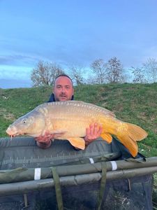 Mirror Carp