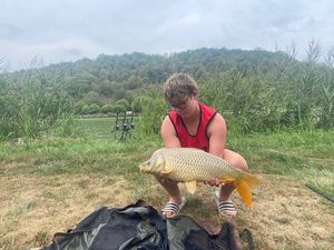 Common Carp