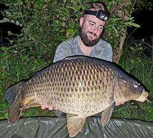 Common Carp