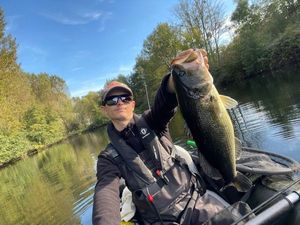 Largemouth Bass