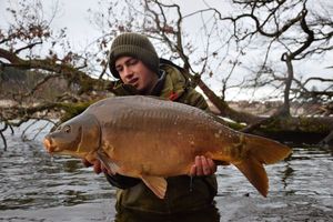 Mirror Carp
