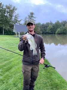 Largemouth Bass
