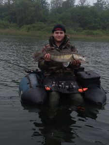 Zander