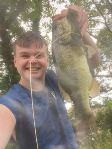 Smallmouth Bass