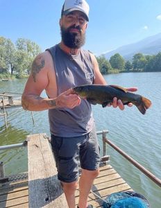 Tench