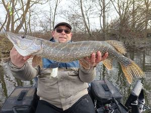 Northern Pike