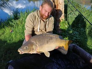 Mirror Carp