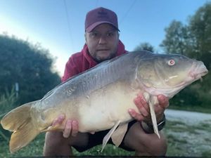 Mirror Carp