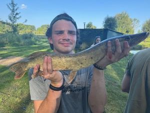 Northern Pike