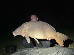 Mirror Carp