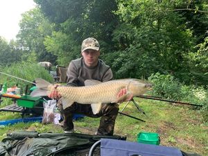 Grass Carp